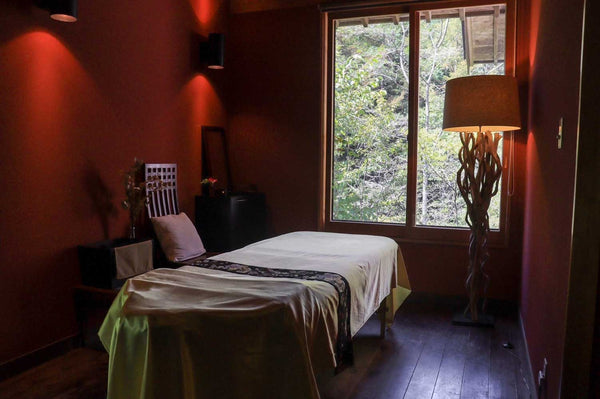 HOTEL spa 最前線 Vol.12　「Treatment Room Natura」扉温泉明神館