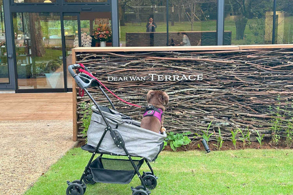 Discovery Luxury Petfriendly 12｜リソルの森「Dear Wan Spa Garden」