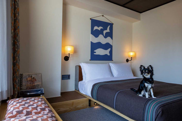 Discovery Luxury Petfriendly 16｜エースホテル京都