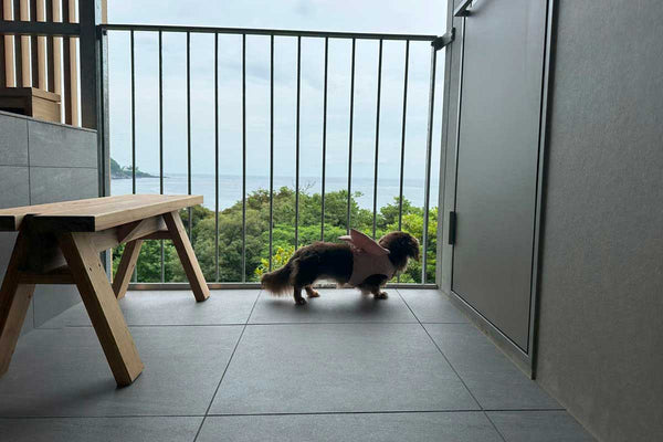 Discovery Luxury Petfriendly 18｜SANU STUDIO RAY 伊豆 1st