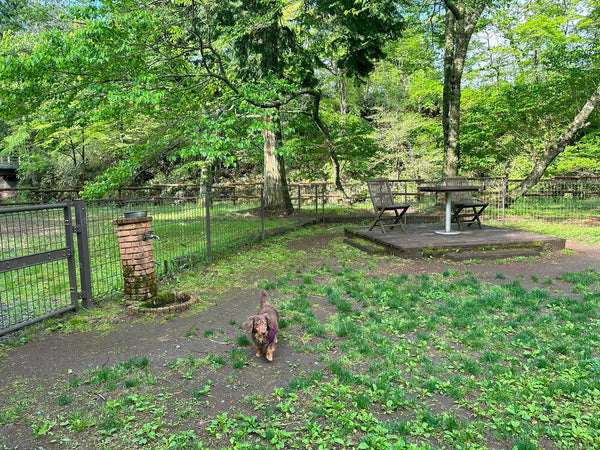 Discovery Luxury Petfriendly 09｜箱根ハイランドホテル