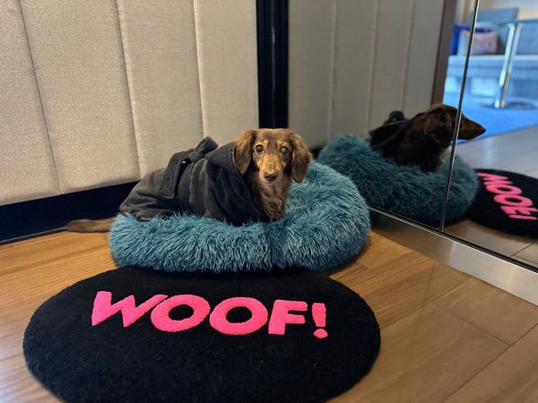 Discovery Luxury Petfriendly 03｜AREA REPORT［大阪府］