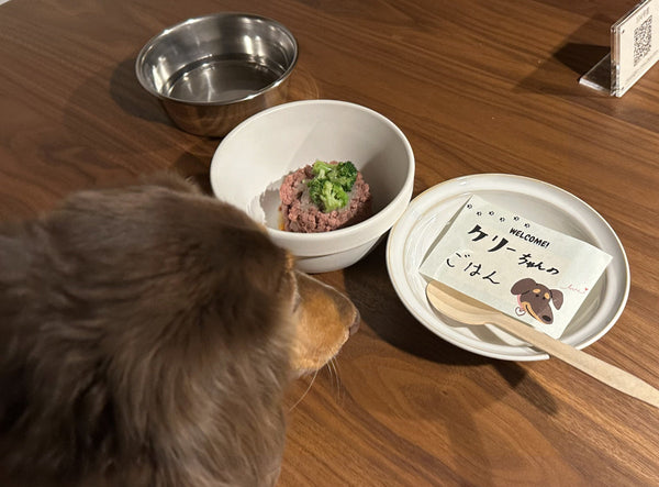 Discovery Luxury Petfriendly 24｜レジーナリゾート由布院