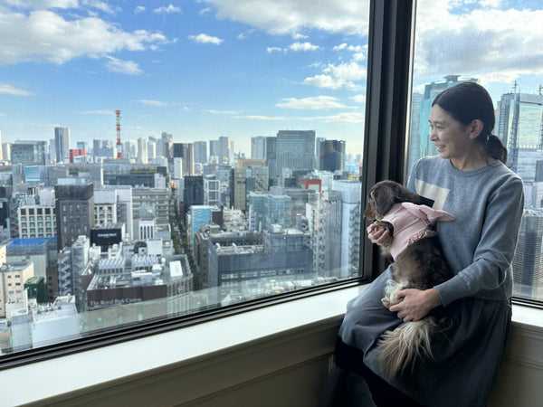 Discovery Luxury Petfriendly 26｜帝国ホテル 東京