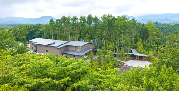 “本来の自分”へと還る時間。「ESSENCE KARUIZAWA」が提案する新たなウェルネスステイ
